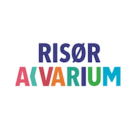 Risør akvarium